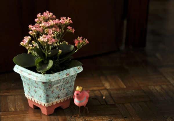 Decorar um vaso de planta simples vai deixar a sua decoração mais bonita (Foto: superziper.com) 