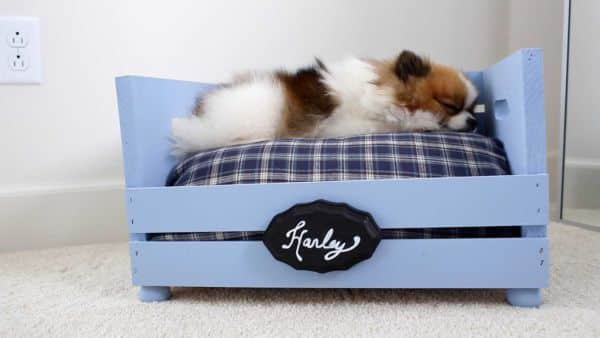 Casinha de cachorro com caixote é barata, mas traz conforto para o seu animalzinho, além de aquecê-lo na época do frio (Foto: lifeannstyle.com)