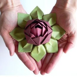 Flor de Lótus em Origami