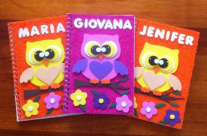 caderno com eva corujinhas