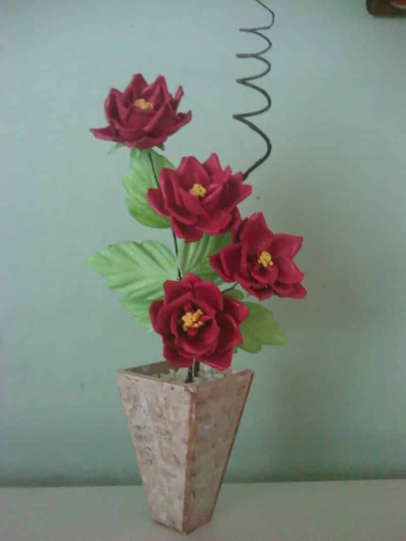 flor de eva no vaso 