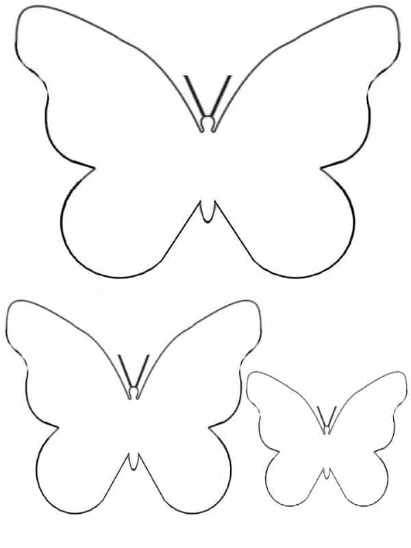 3d borboleta molde