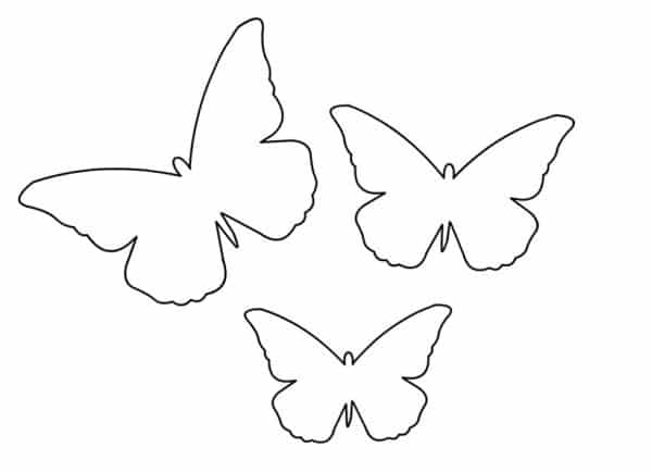 borboleta molde