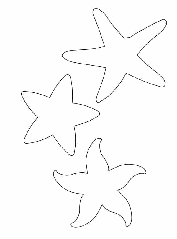 estrelas do mar molde
