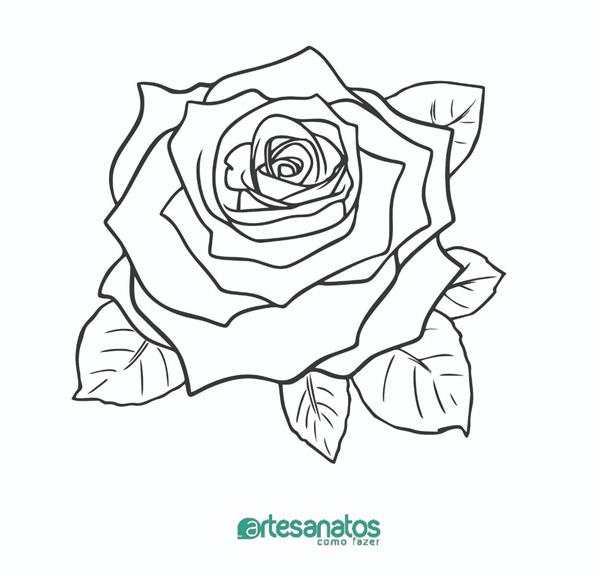 desenhos de rosas para colorir