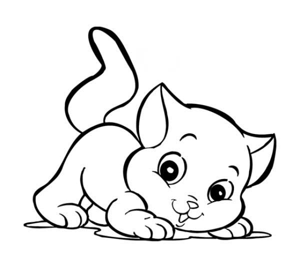 50+ Desenhos de Gatinhos para colorir - Dicas Práticas