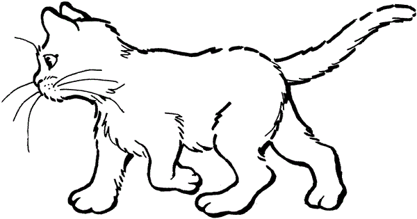 desenhos de gatos