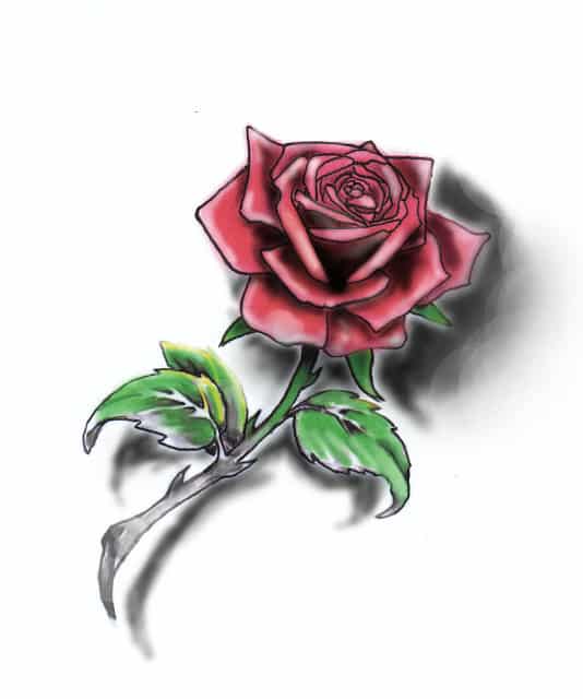 desenhos de rosas coloridas