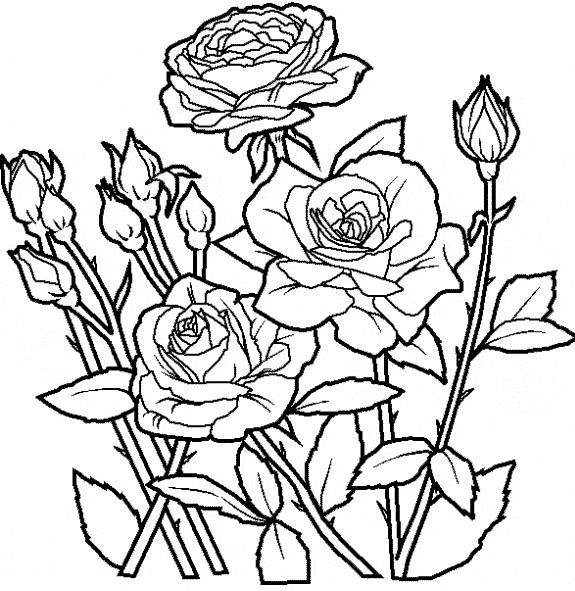 desenhos de rosas 3d