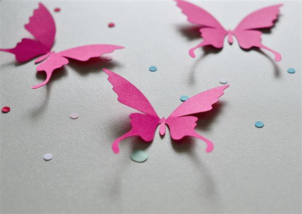 borboletas simples
