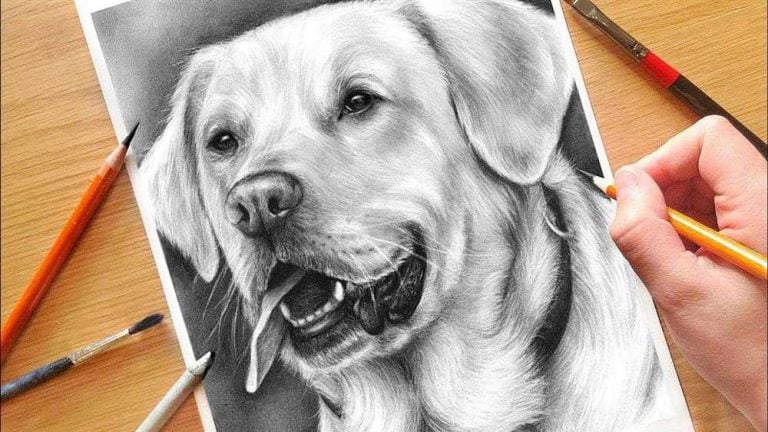 Como desenhar melhor: + 15 dicas grátis para iniciantes