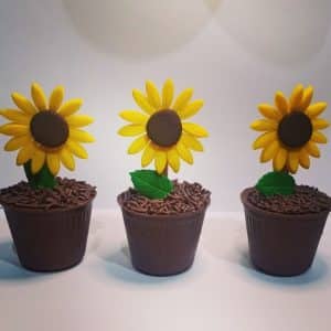 decoração aniversário girassol simples