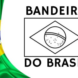 bandeira do brasil para montar e pintar
