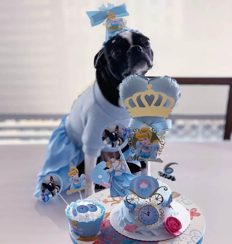 Cachorro com bolo pequeno de princesa da Disney