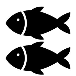 molde de peixe eva