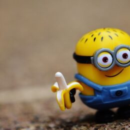 O básico para você iniciar a sua produção artesanal de action figures minnions